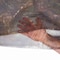Vanish Camo Netting for Ground Hunting Blinds, 12' x 56 in., Mossy Oak Break-Up Country 25323 - alternate 5
